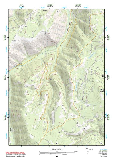 45116SW Page 49 Riggins Topo Preview 1
