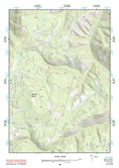 45116SW Page 50 Riggins Topo Preview 1