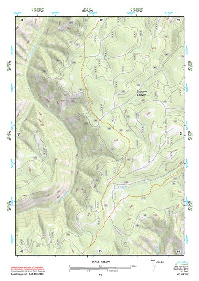 45116SW Page 51 Riggins Topo Preview 1