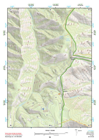 45116SW Page 54 Riggins Topo Preview 1