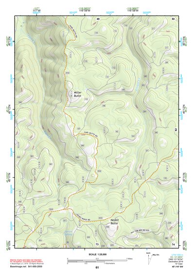 45116SW Page 61 Riggins Topo Preview 1