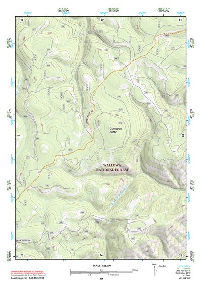 45116SW Page 62 Riggins Topo Preview 1