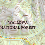45116SW Page 65 Riggins Topo Preview 2