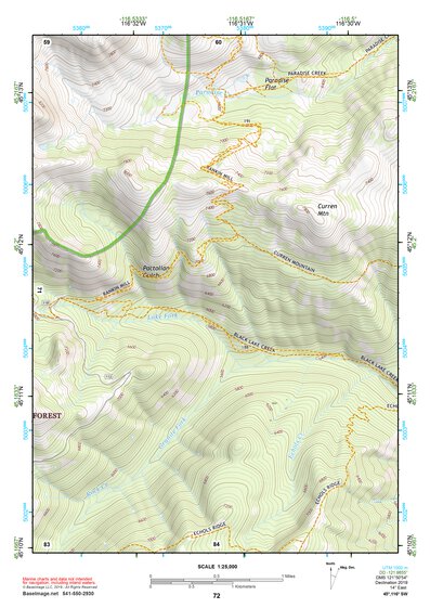 45116SW Page 72 Riggins Topo Preview 1