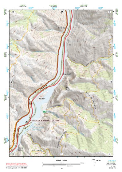 45116SW Page 79 Riggins Topo Preview 1