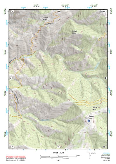 45116SW Page 80 Riggins Topo Preview 1