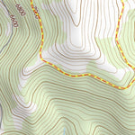 45116SW Page 81 Riggins Topo Preview 2