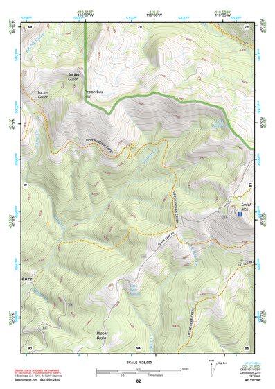 45116SW Page 82 Riggins Topo Preview 1
