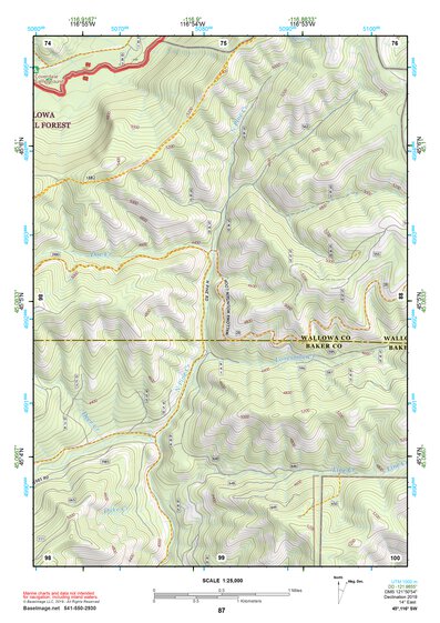45116SW Page 87 Riggins Topo Preview 1