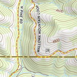 45116SW Page 87 Riggins Topo Preview 2