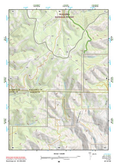 45116SW Page 88 Riggins Topo Preview 1