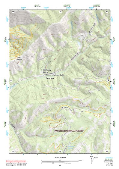 45116SW Page 92 Riggins Topo Preview 1