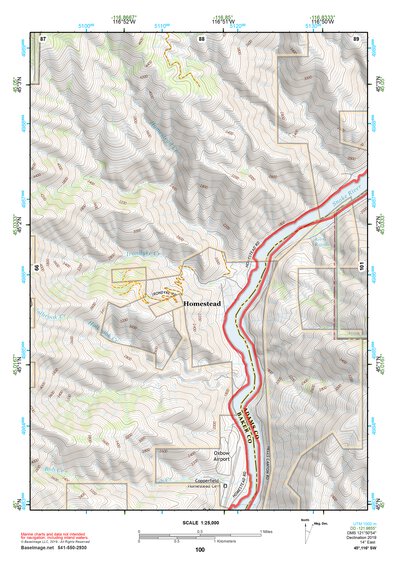 45116SW Page 100 Riggins Topo Preview 1