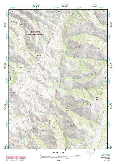 45116SW Page 102 Riggins Topo Preview 1