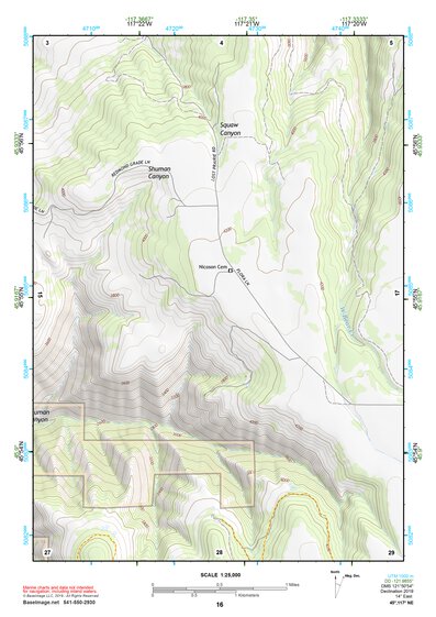 45117NE Page 16 Wallowa Topo Preview 1