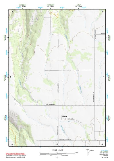 45117NE Page 17 Wallowa Topo Preview 1