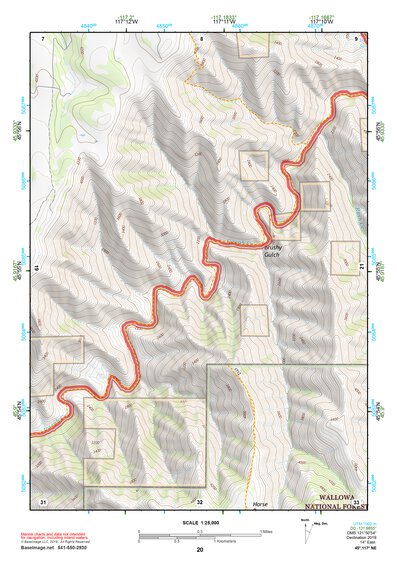 45117NE Page 20 Wallowa Topo Preview 1
