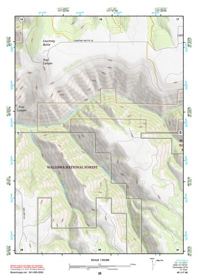 45117NE Page 28 Wallowa Topo Preview 1