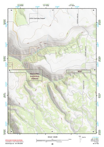 45117NE Page 29 Wallowa Topo Preview 1