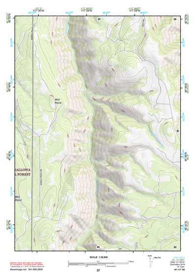 45117NE Page 37 Wallowa Topo Preview 1