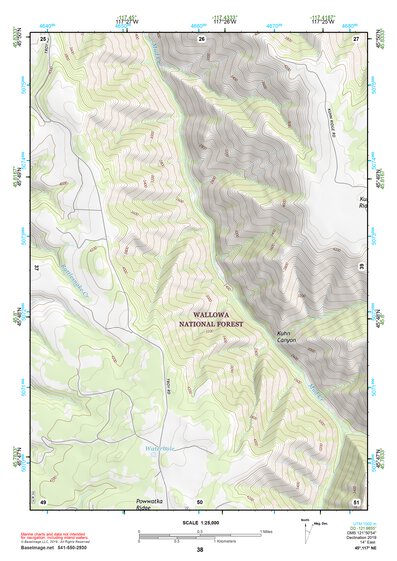 45117NE Page 38 Wallowa Topo Preview 1