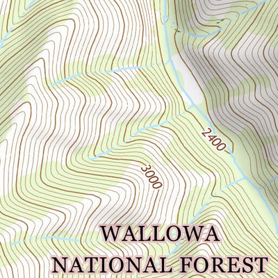 45117NE Page 38 Wallowa Topo Preview 2