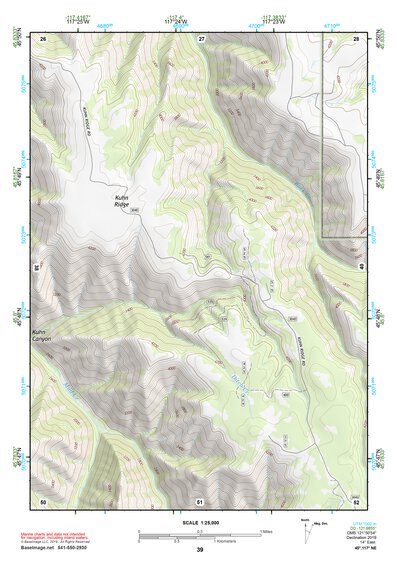 45117NE Page 39 Wallowa Topo Preview 1