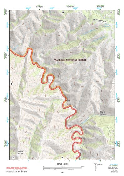 45117NE Page 44 Wallowa Topo Preview 1
