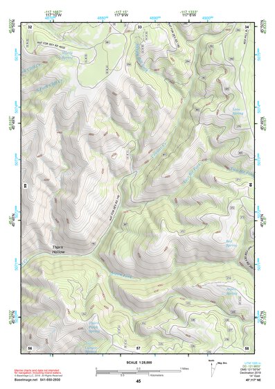 45117NE Page 45 Wallowa Topo Preview 1