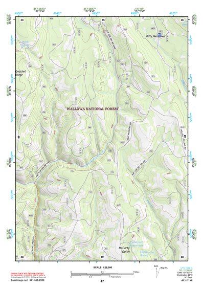 45117NE Page 47 Wallowa Topo Preview 1