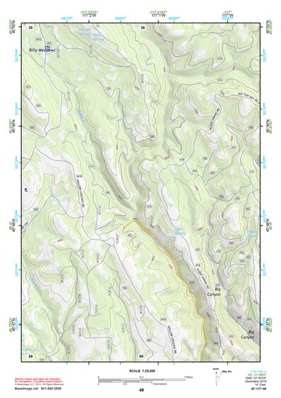 45117NE Page 48 Wallowa Topo Preview 1