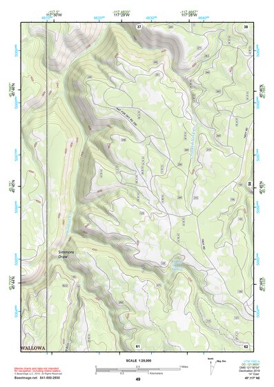 45117NE Page 49 Wallowa Topo Preview 1