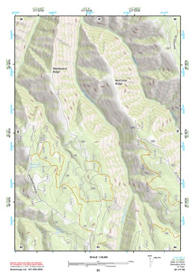 45117NE Page 51 Wallowa Topo Preview 1