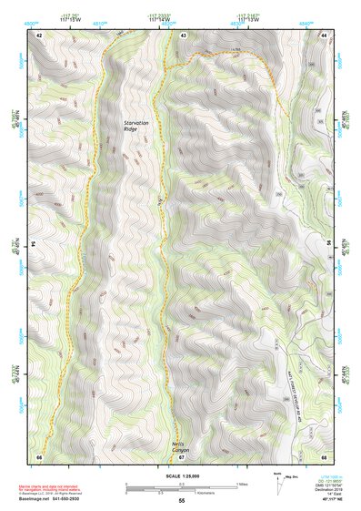 45117NE Page 55 Wallowa Topo Preview 1