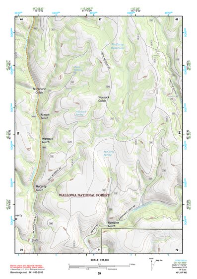45117NE Page 59 Wallowa Topo Preview 1