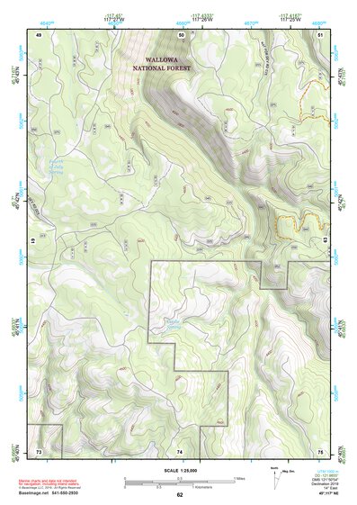 45117NE Page 62 Wallowa Topo Preview 1