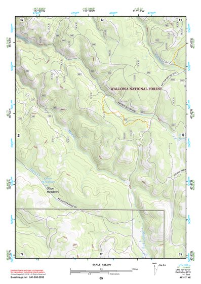 45117NE Page 65 Wallowa Topo Preview 1