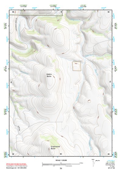45117NE Page 71 Wallowa Topo Preview 1