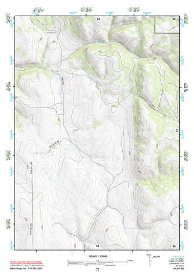 45117NE Page 73 Wallowa Topo Preview 1