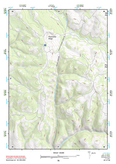 45117NE Page 75 Wallowa Topo Preview 1