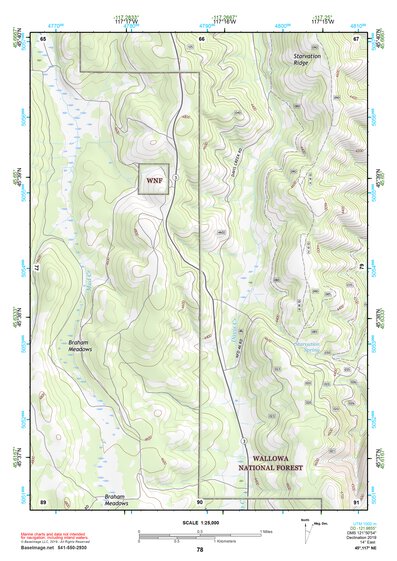 45117NE Page 78 Wallowa Topo Preview 1