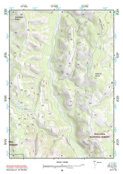 45117NE Page 79 Wallowa Topo Preview 1