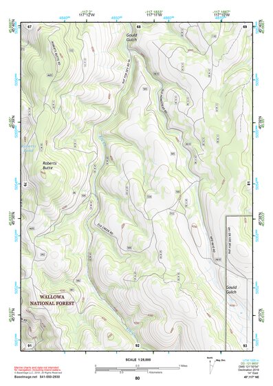 45117NE Page 80 Wallowa Topo Preview 1