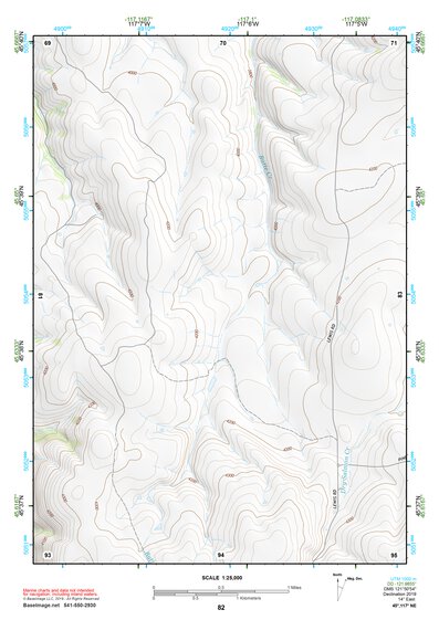 45117NE Page 82 Wallowa Topo Preview 1