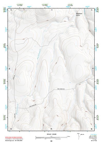 45117NE Page 83 Wallowa Topo Preview 1