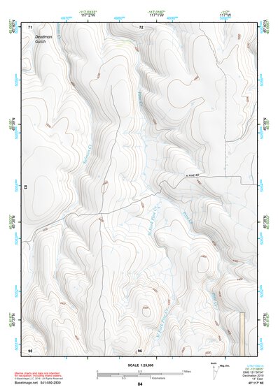 45117NE Page 84 Wallowa Topo Preview 1