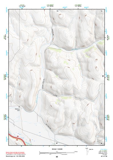 45117NE Page 85 Wallowa Topo Preview 1