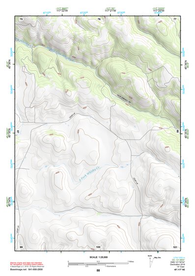 45117NE Page 88 Wallowa Topo Preview 1