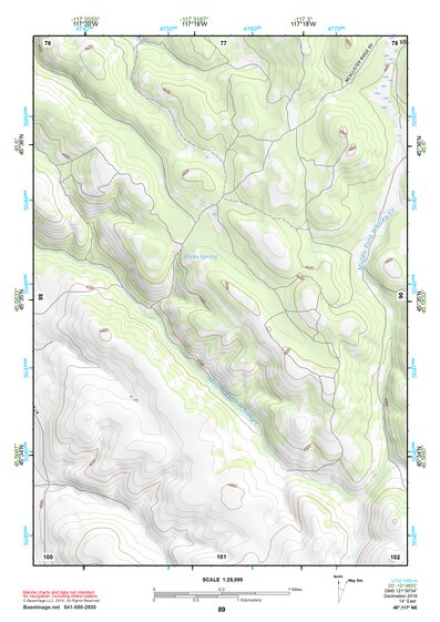 45117NE Page 89 Wallowa Topo Preview 1
