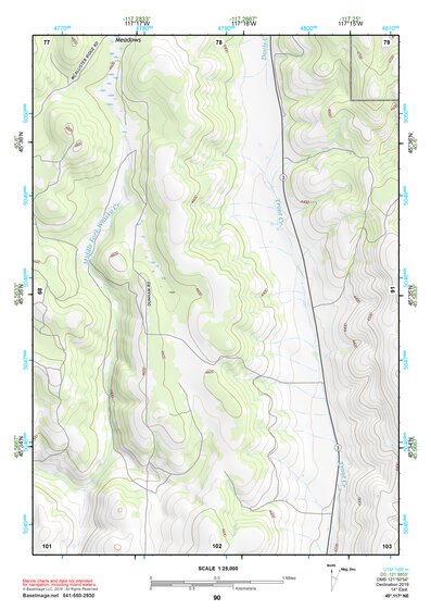 45117NE Page 90 Wallowa Topo Preview 1